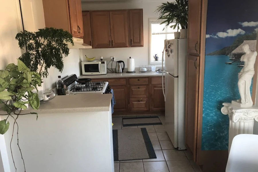 Your Reliable Cleaning Company in Oceanside, CA