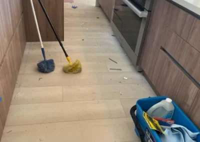 Home Cleaner