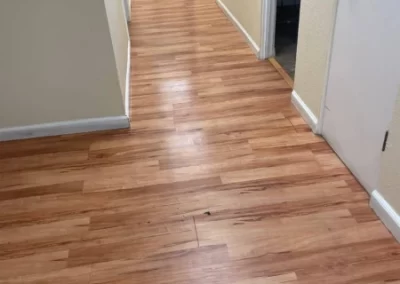 House Cleaning